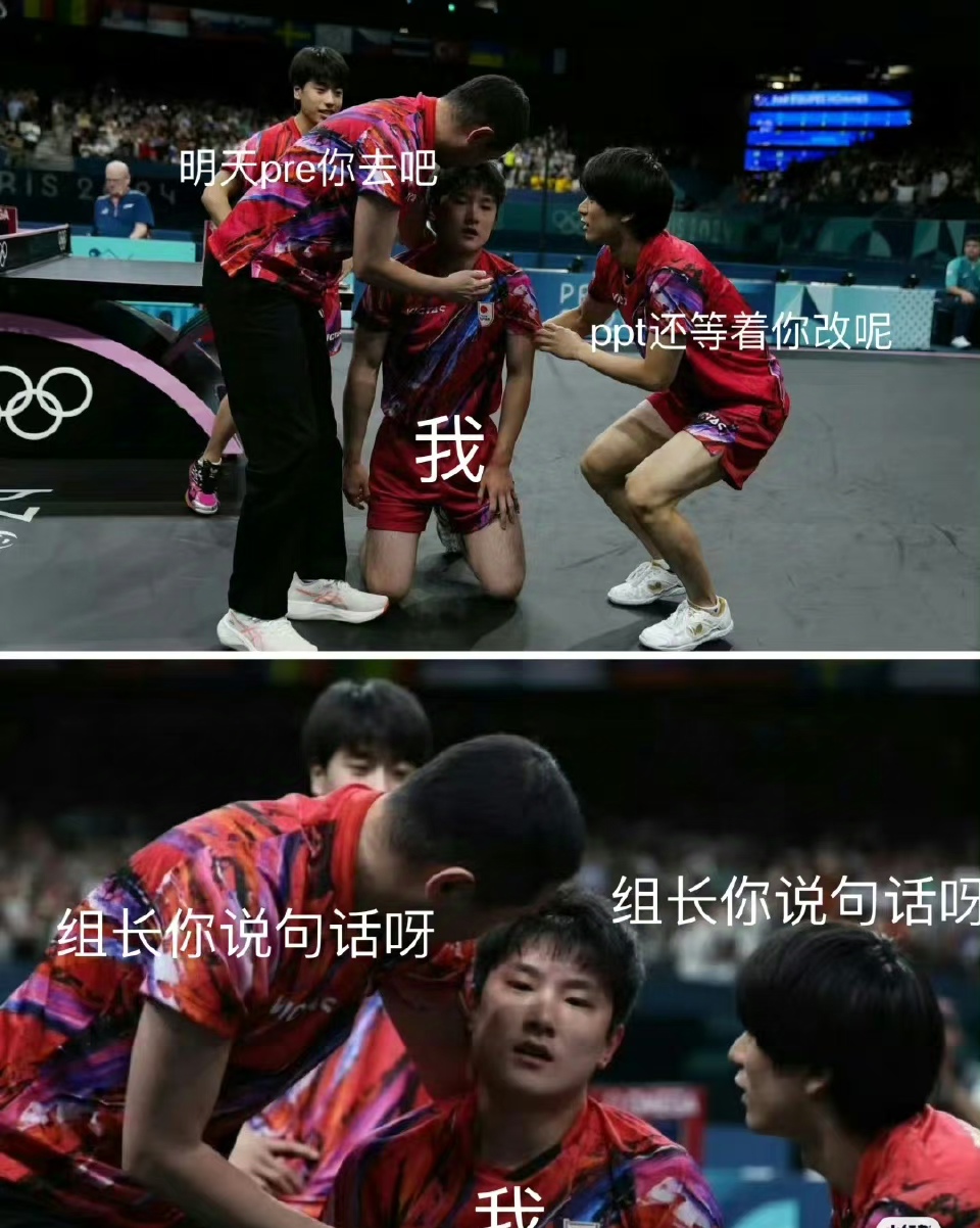 法国队横扫中国队，张本智和点燃赛场