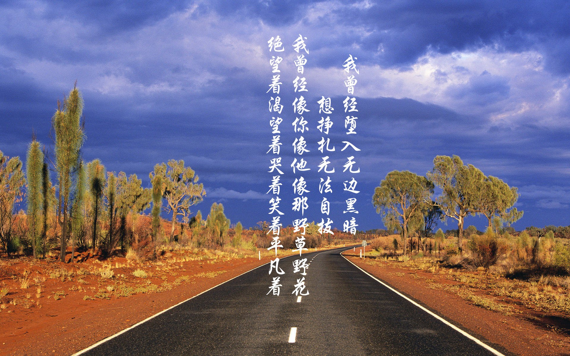 封印与重写，当班凯罗用防守封印文班亚马，他重写了这轮系列赛的剧本