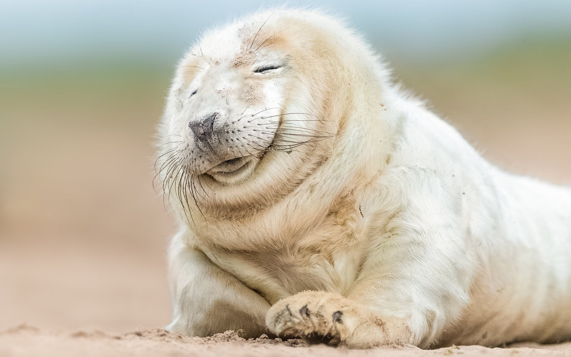 奥运周期关键战之夜，当世界喧嚣时，他是沉默的锁链