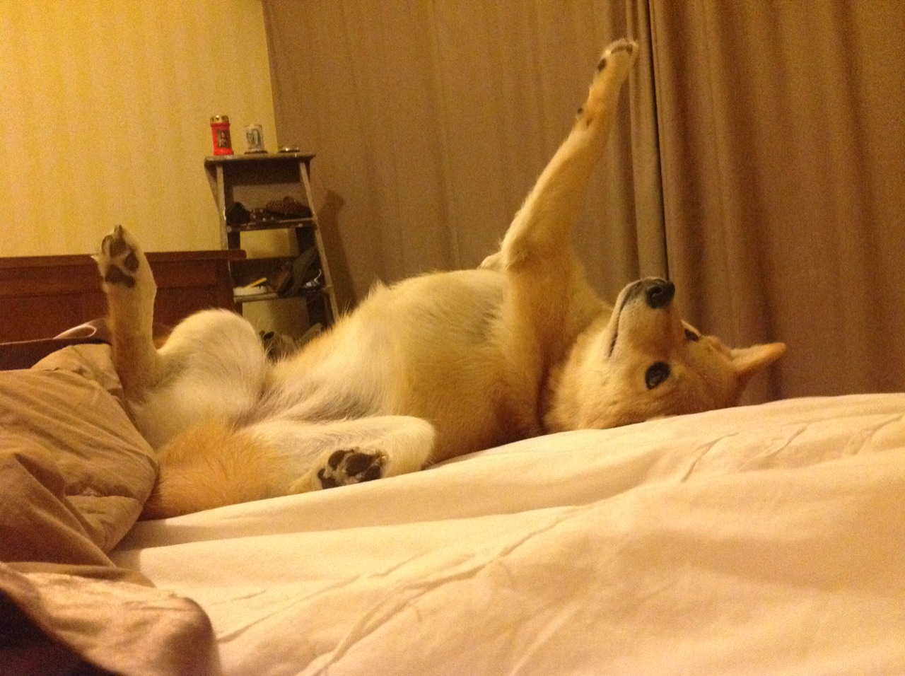 驯马人与蓝调，当莫德里奇的古典乐遇上切尔西的征服之道