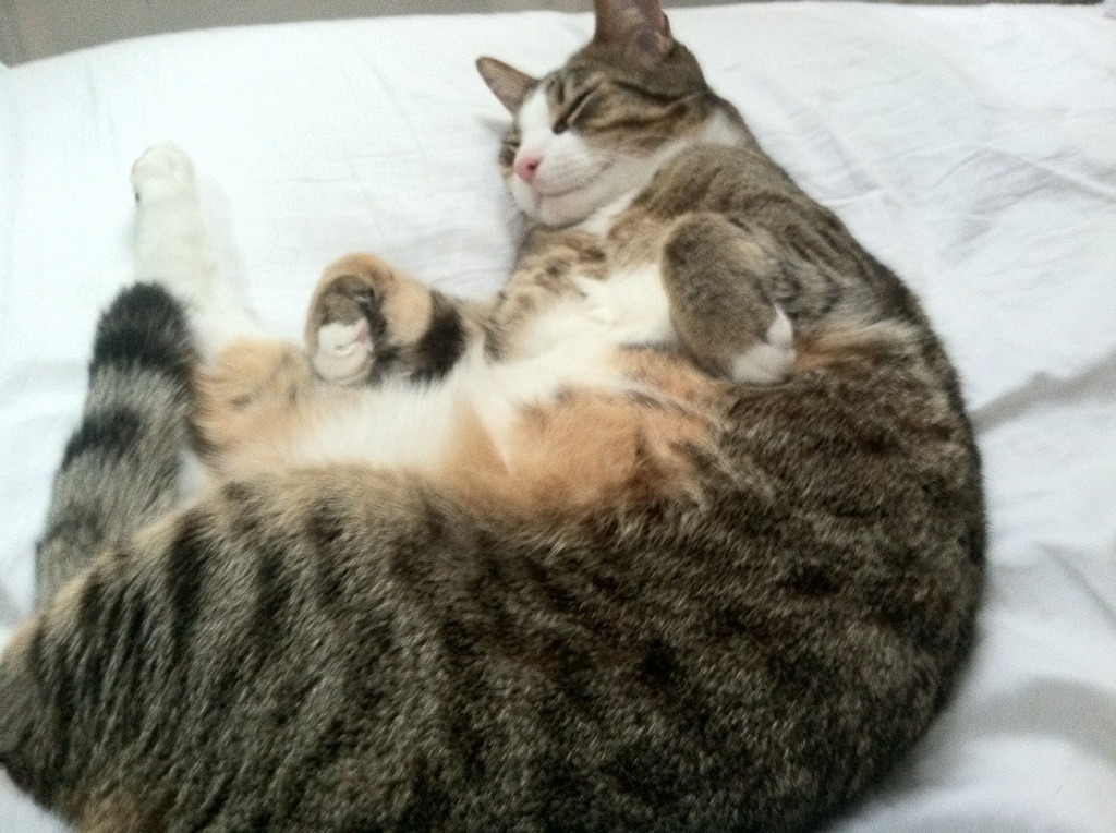 足球之夜双星闪耀，维尼修斯欧冠爆发，巴拉圭友谊赛爆冷摩纳哥