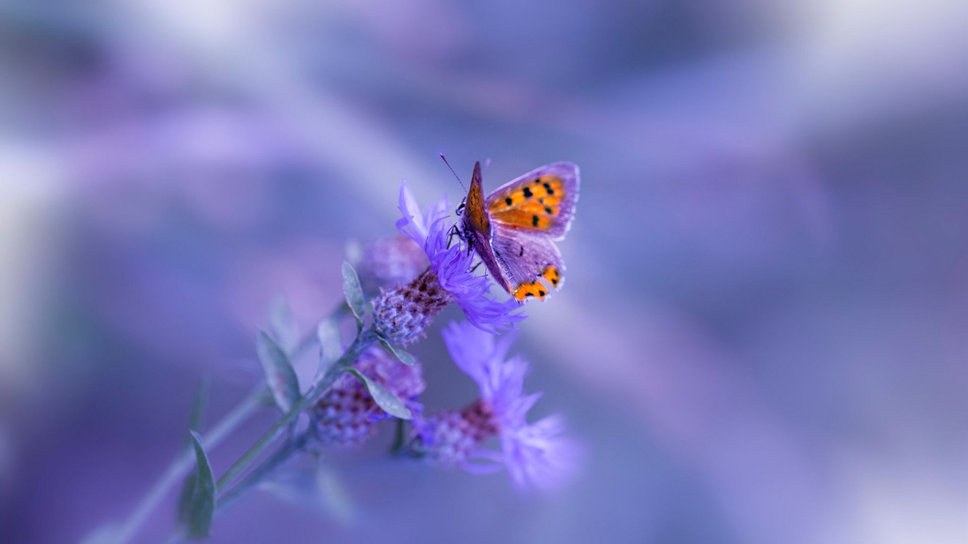 足球的双重奏，当萨内的个人爆发，遇见比利亚雷亚尔的战术丹麦