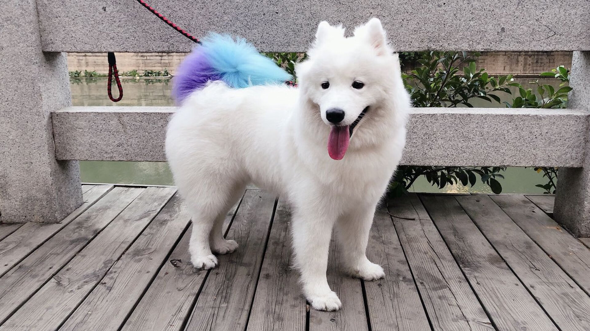 铁血逆袭，山西队生死战中转动命运齿轮，西北狼精神铸就唯一西决传奇