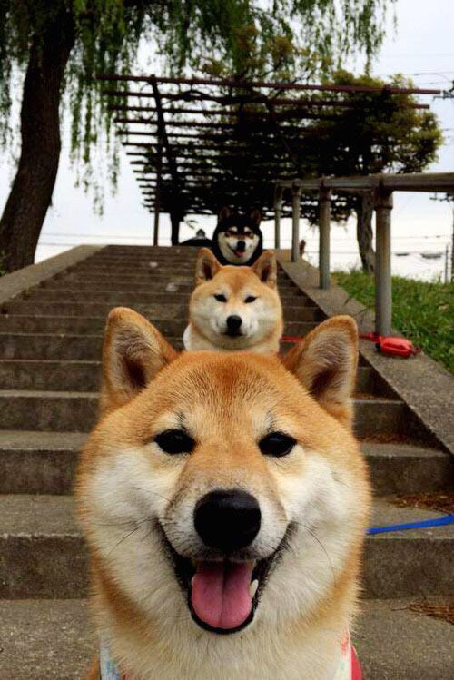 欧冠淘汰赛之夜，贝恩关键战不手软