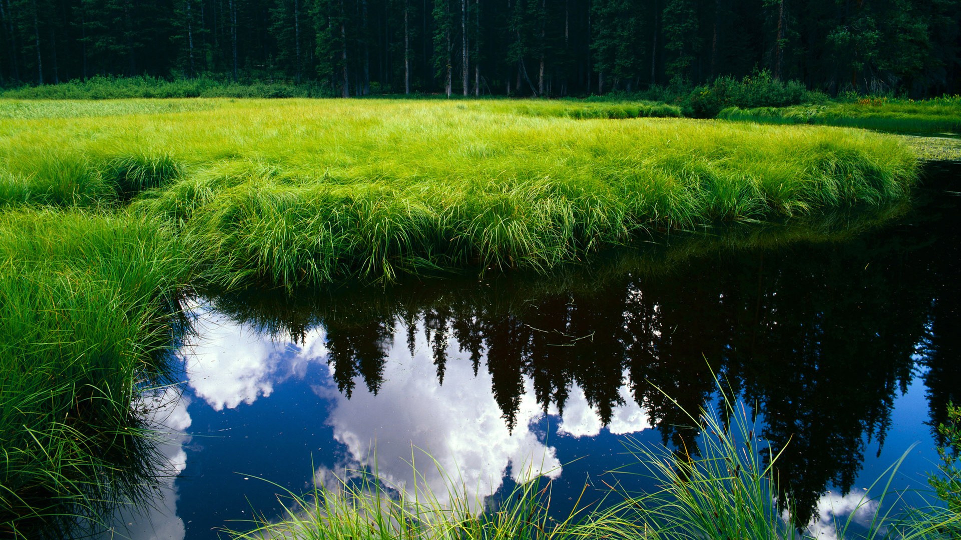 乌拉圭压制新西兰，奥纳纳接管F1街道赛，全面控制的双重奏