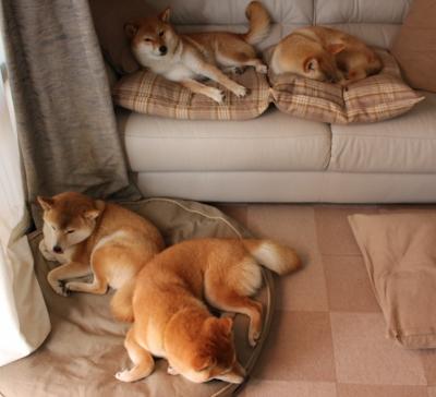 南十字星掀翻航海家，北境神话在新西兰的穹顶下重生