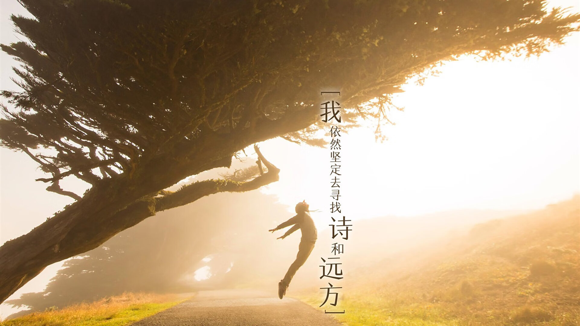 光阴的复仇，当苏亚雷斯在世界杯赛场上完成最后的救赎