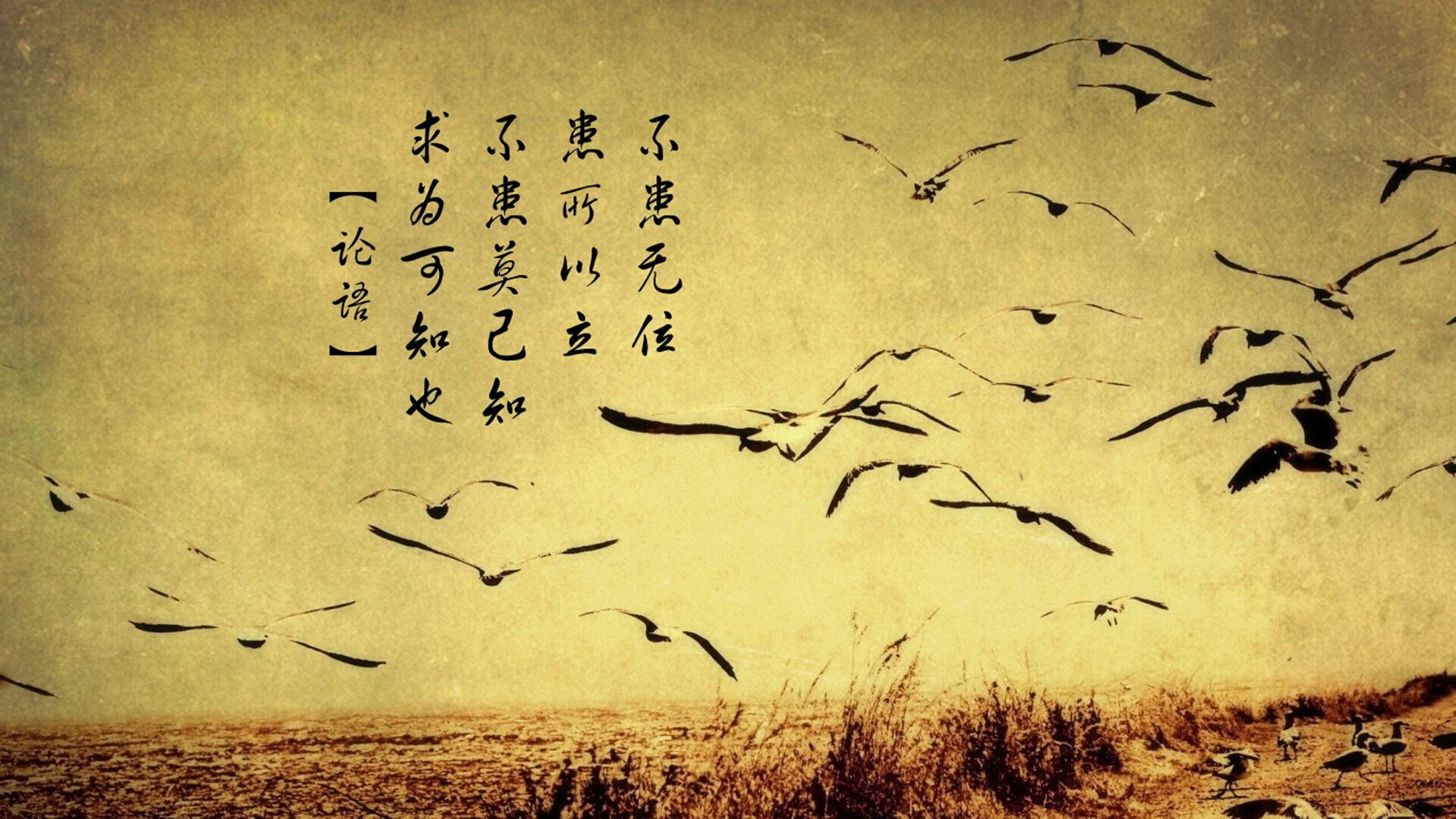 开云体育app-沙漠中的北欧风暴，归化巨星哈兰德领衔，伊拉克足球史诗级碾压摩洛哥