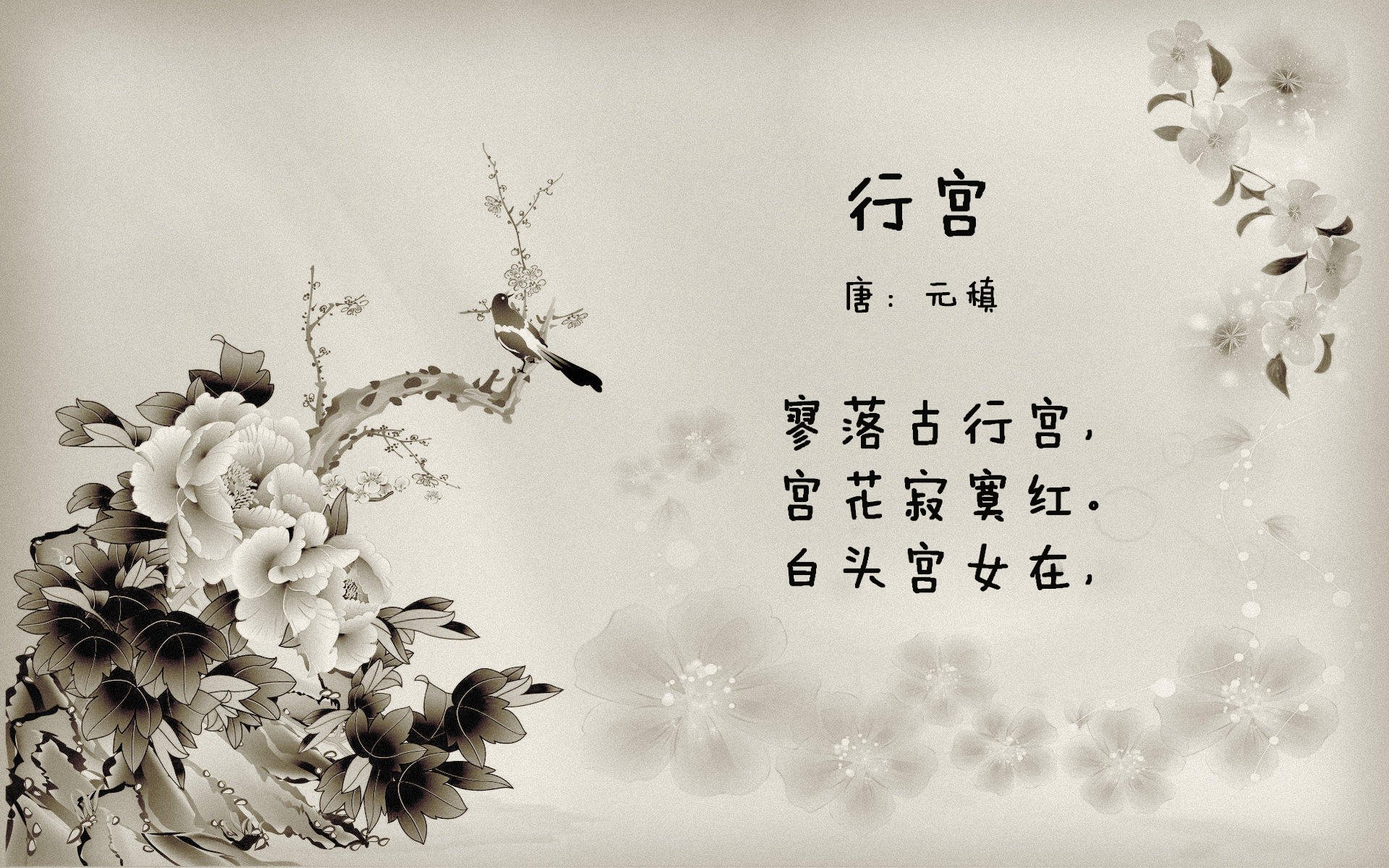 血色黄昏，哈基米的致命一击与智利足球的冰与火加冕礼