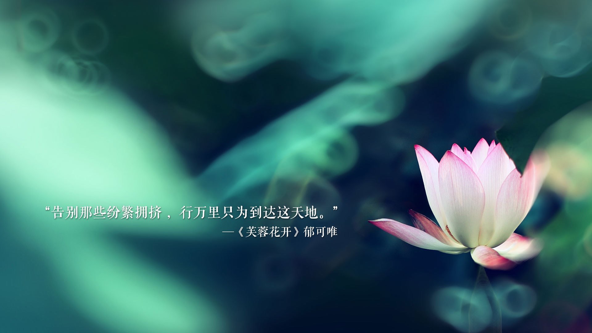 极光截击火焰,京多安的致命寒冰与沙漠中的替补奇兵—2026世界杯E组,冰岛是如何用一场古典神话收割胜利的
