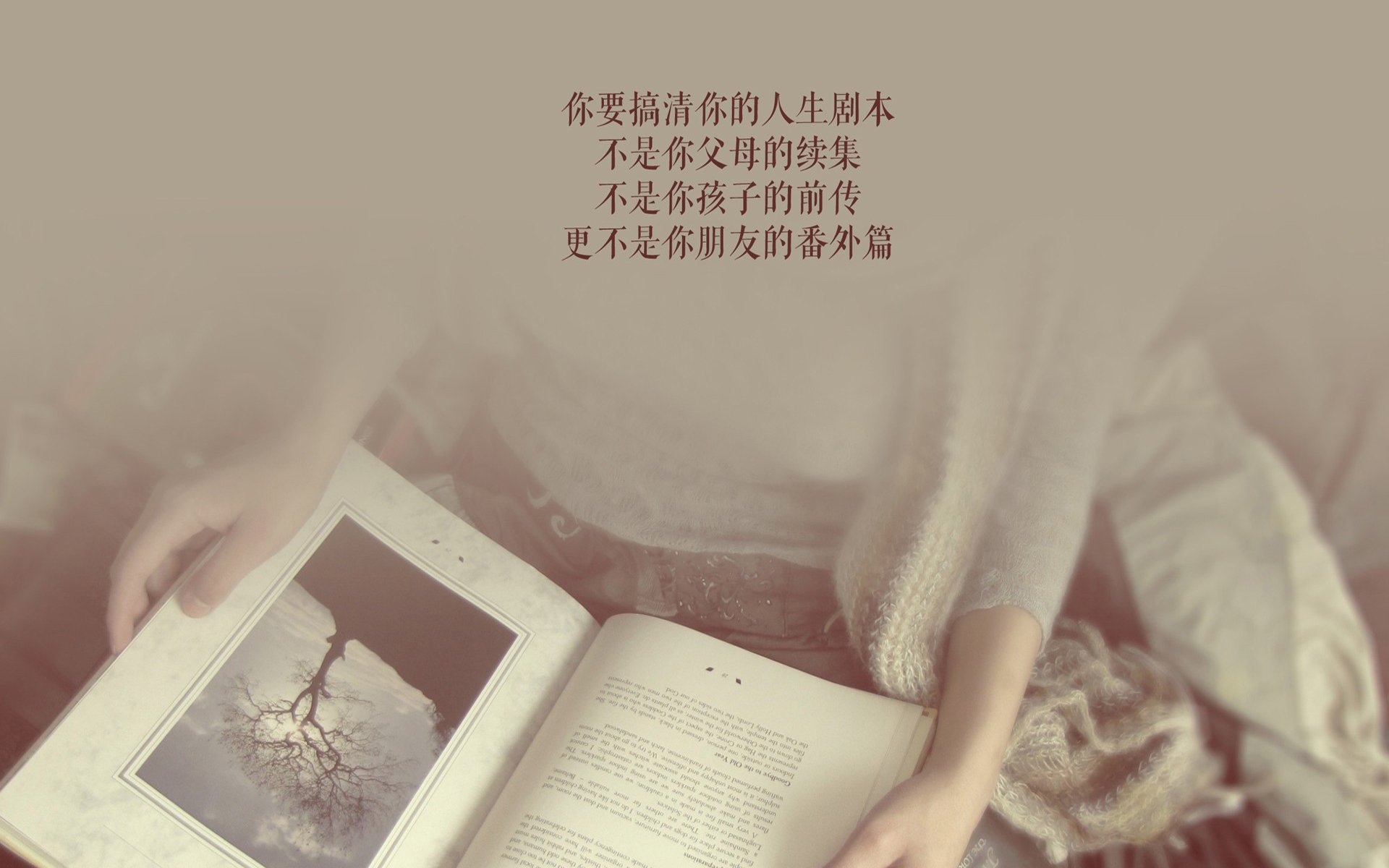 沙漠之狐的致命獠牙，2026世界杯F组，伊拉克如何用三叉戟刺穿西班牙斗牛士的心脏